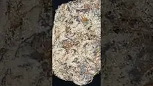 Adz Canna Video Thumbnail