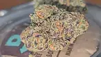 Four20 - Gastro Pop - (Apples & Bananas x Grape Gas #7) 