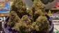 Video Thumbnail: Keep Blazing Stay Amazing