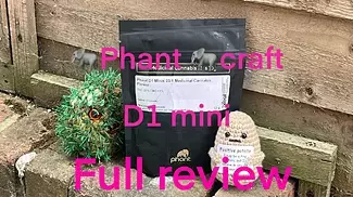 Phant D1 Smalls T23 Pink D1  (full review)