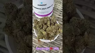 Sourdough  29% #ukmedicalcannabis #painrelief #medical #paitent #medicalcannabis