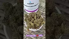 420Medical Video Thumbnail