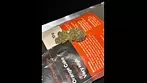 LOT 420 OC - Orange Cake - UK Medical Cannabis Review 