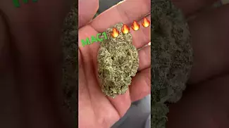 Mac1 medical cannabis uk #backpainrelief #legal #uk #ukmedicalcannabis #mac1