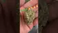 Video Thumbnail: EdTalks420