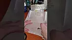 WEDDING POP TRIANGLE | Curaleaf| PRESS TEST