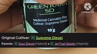 Green Karat | Supreme Diesel | FIRST IMPRESSIONS
