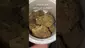 Video Thumbnail: Cannabis Culture 