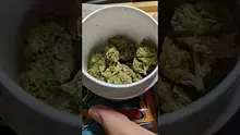 PrescribedBouquet Video Thumbnail