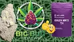 Khalifa Mints T24 by 4C Labs Medical Cannabis Review