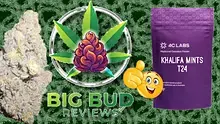 Big Bud Reviews Video Thumbnail