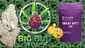 Video Thumbnail: Big Bud Reviews