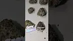Grey Goose minis by Humble Bud UK MEDICAL THC 25% BN A372945 ED 20th June 2026