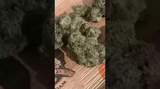 Uklegal #GreenKarat Supreme Diesel 28%thc1%cbd #shortvideo #reggae #medicated #mentalhealthawareness