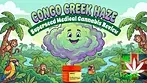 Congo Creek Haze SuperSeed medical canna review UK