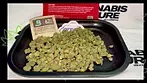 UK MEDICAL FLOWER | 4C LABS | CCK-S T25 COLD CREEK KUSH