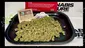 Video Thumbnail: Cannabis Culture 