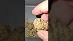 Wedding Pie By Upstate