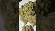 Medi Blaze Video Thumbnail