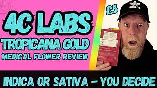 4C Labs | Tropicana Gold | UK Medical Flower Review