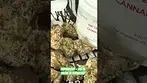 Superboof- t28 medical uk from alternaleaf