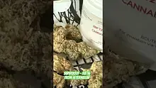 Onemans 420 Video Thumbnail