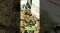 Video Thumbnail: Onemans 420