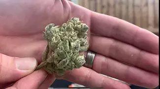 Strawberry glue, uk medical prescription