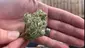 Video Thumbnail: EdTalks420