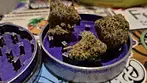 Next Friday BF T24 Blueberry Fuego 