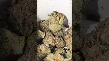 PrescribedBouquet Video Thumbnail