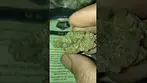 Mac 1 uk medical cannabis miracle valley