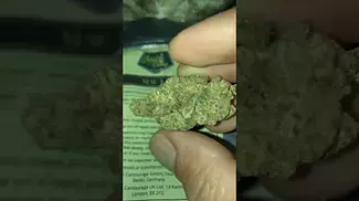 Mac 1 uk medical cannabis miracle valley