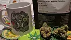 AAAA Lot420 GLT T26 Gelato #33 Medical Cannabis Flower 