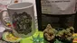 Video Thumbnail: Keep Blazing Stay Amazing