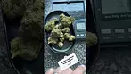 Uklegal meds.Primacann Bonne nuit bonbon (good night candy)25%thc1%cbd partial refund #medicann #thc