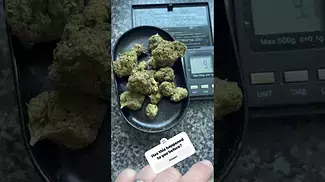 Uklegal meds.Primacann Bonne nuit bonbon (good night candy)25%thc1%cbd partial refund #medicann #thc