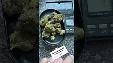  Sirspliffalot87 Video Thumbnail