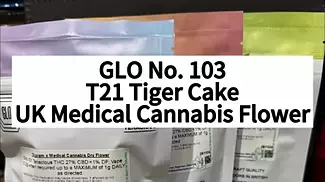 GLO No. 3 T21 Tiger Cake UK Medical Cannabis Flower