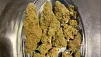 Aurora T24 L.A confidential REVIEW