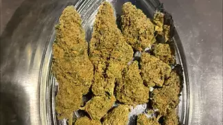 Aurora T24 L.A confidential REVIEW