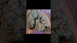 Sky Berry Kush - Upstate SBK T25 Medical Cannabis UK #montu #alternaleaf #cannabis