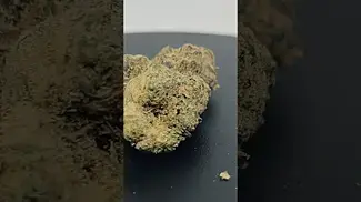 CannFX - Exotic Gas #7 #ukmedicalcannabis