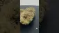 Video Thumbnail: Herb Gaming
