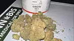HELLFIRE OGT22 by grow Pharma (UK medical cannabis review)
