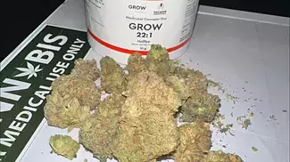 HELLFIRE OGT22 by grow Pharma (UK medical cannabis review)