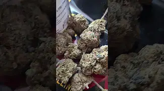 Georgia Pie. 27% THC