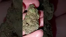 WestPacks420 Video Thumbnail