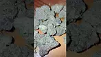 Packs - RS11 #cannabisdaily #cannabiseducation #medicalmarijuanapatient