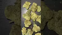 CheeseMon4 Video Thumbnail